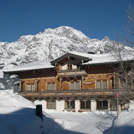 Paulingbauer * 莱奥冈